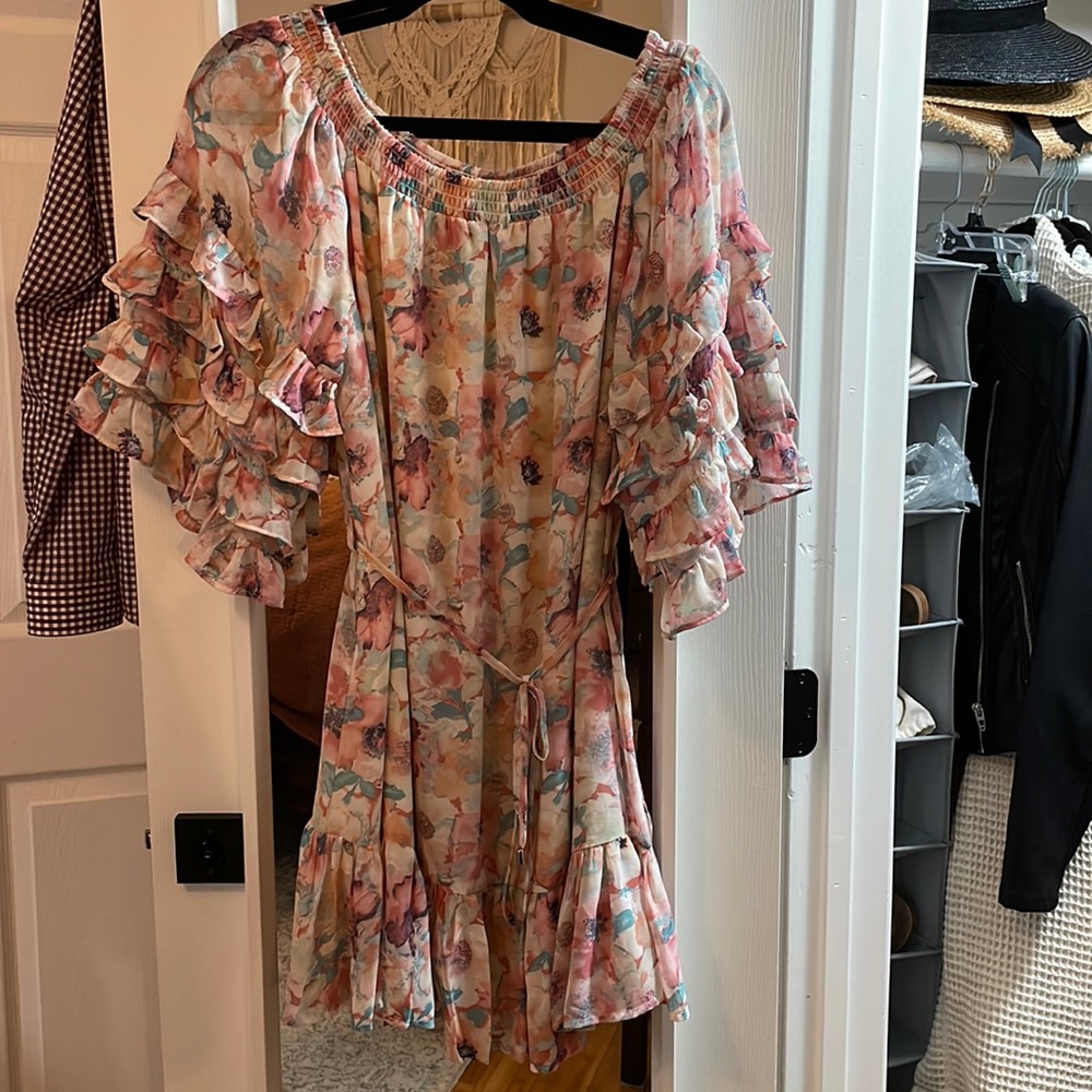 NWT Ruffled Sleeve Mini Dress